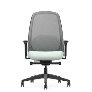 Interstuhl HEJ Netzrücken mit Flextech (HJ 266) - Schwarz | Mint